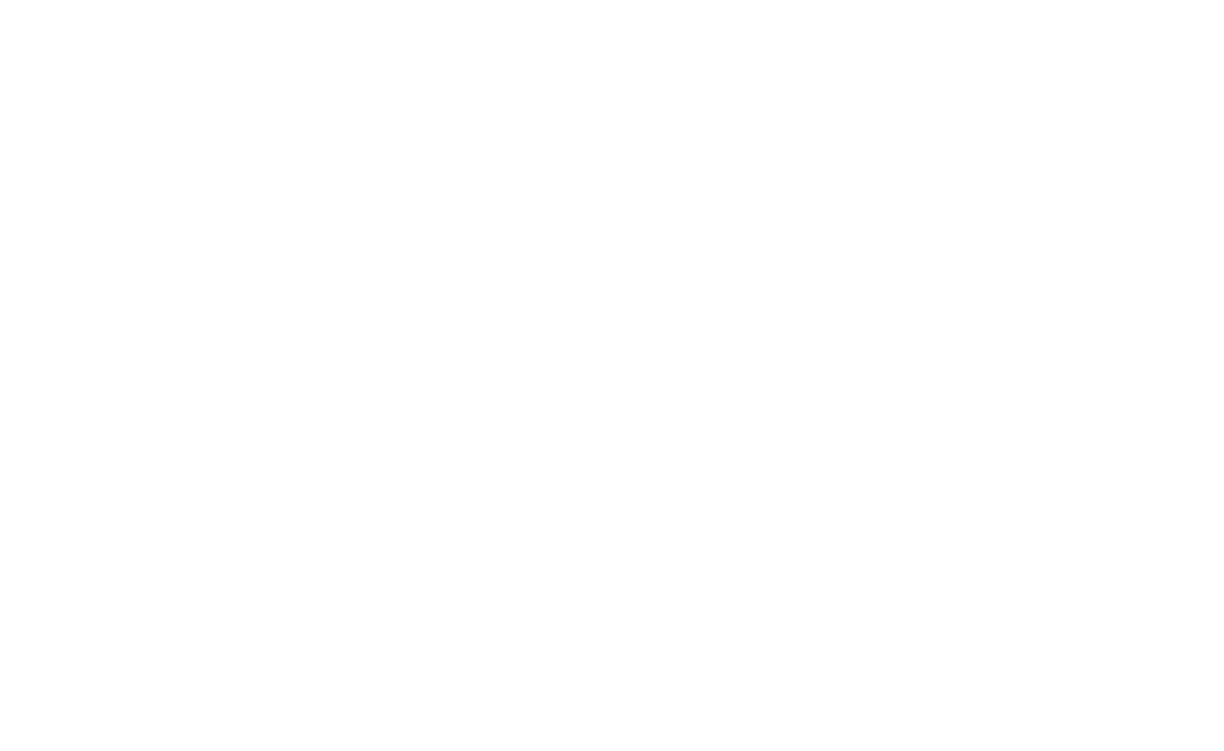 THE BINORA STANDARD